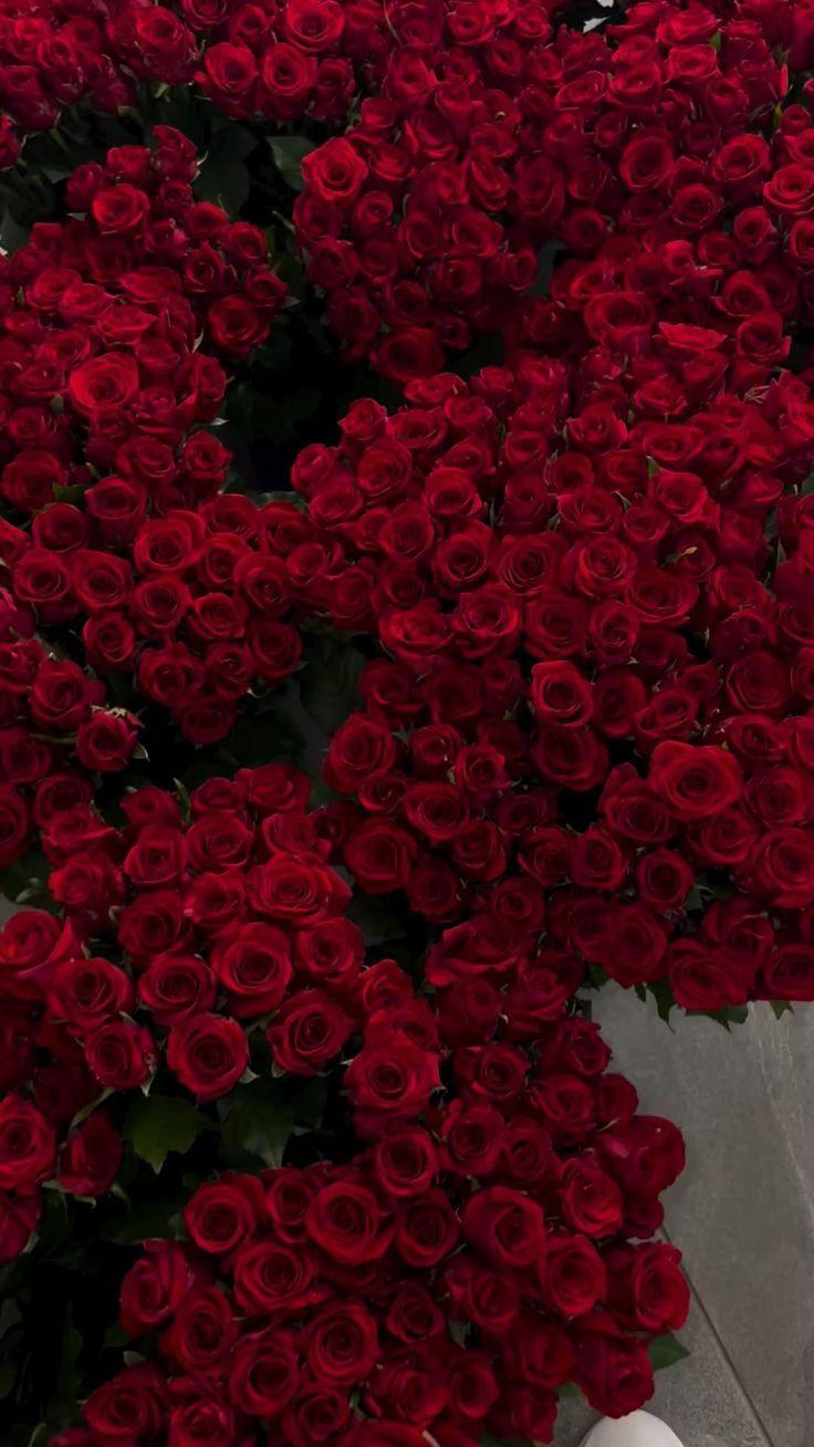 Symphony in Blooms: Artistic Flora Array